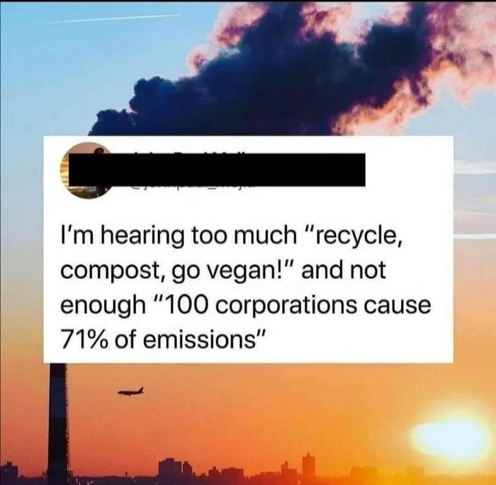 The meme is a humorous commentary on environmentalism and corporate responsibility. The image is a screenshot of a tweet that reads: "I'm hearing too much 'recycle, compost, go vegan' and not enough '100 corporations cause 71% of emissions'." The meme pokes fun at the idea that individuals are being told to make small changes to their lives to reduce their environmental impact, while ignoring the fact that large corporations are responsible for the majority of emissions.